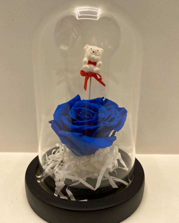 Εικόνα για Forever Rose Μπλε